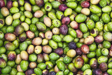 Fresh olives