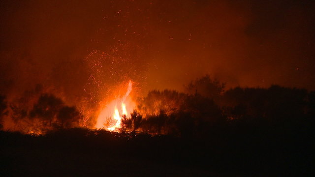 Forest fire by night