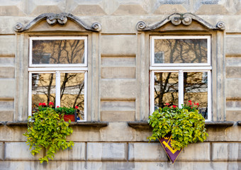 Fototapeta na wymiar Facade of a building with windows