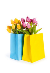 Tulips in shopping bag isolated on white