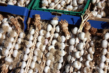 Cassette d'aglio al mercato. Garlic at the marketplace