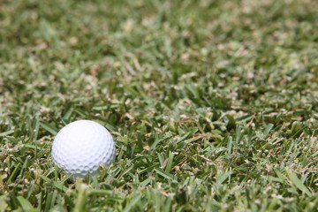 golf ball