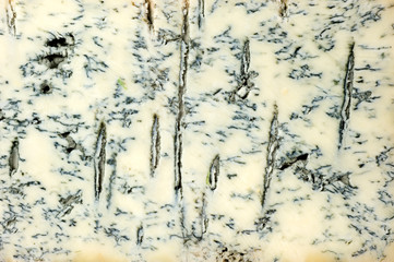 gorgonzola