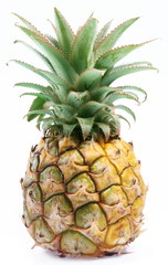 Small desert ripe pineapple.