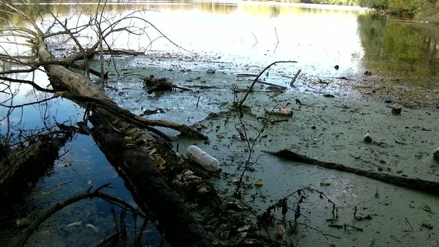 Pollution sur plan d'eau_8