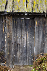 Naklejka premium Old wooden door covered with moss and rust.
