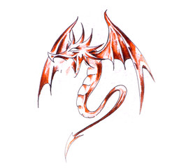 Sketch of tattoo art, red dragon