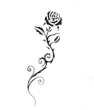 Sketch of tattoo art, black rose
