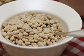 Schale mit Haferflakes