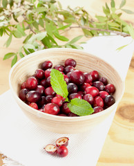 Cranberries in Schale