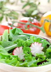 frischer Pflücksalat