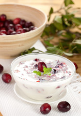 Joghurt mit Cranberries