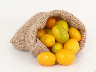 Limequats