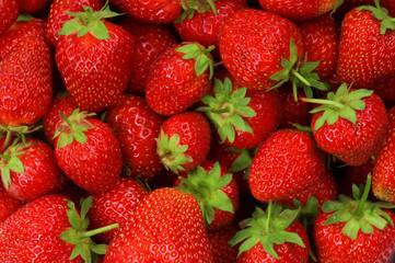 Strawberry background
