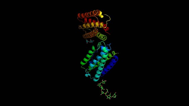 Molecule of Human Interferon