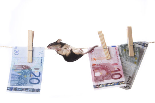 Maus  an einem Seil