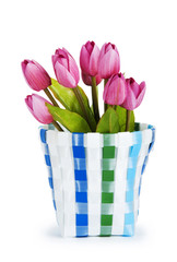 Pot of colorful tulips isolated on white