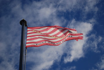 Don't Tread on Me Flag Flying in wind