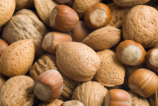 Noci, mandorle, nocciole