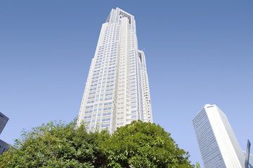 Obraz premium 東京都庁第一庁舎