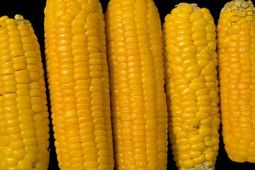 Corn ears 3