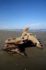 spiaggia di boccasette