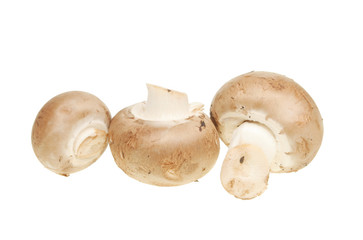 Chestnut mushrooms