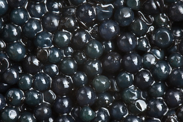 black caviar background