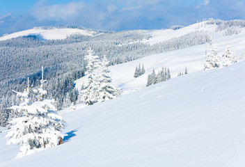 Winter mountain view