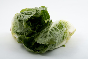 Romanasalat / Blattsalat