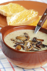 Mushroom soup