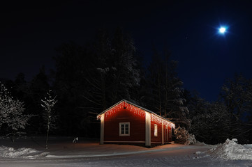Christmas house in moonlight