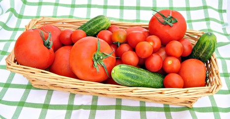 Tomates y pepinos