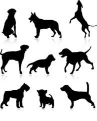 Nine dog illustration