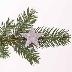 Christmas tree with star