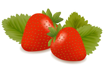 Two strawberries with leaves . Vector.