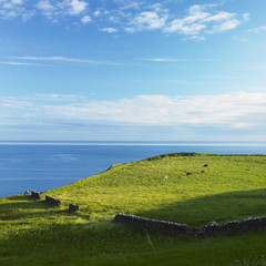 Fototapeta na wymiar seascape, County Antrim, Irlandia Północna