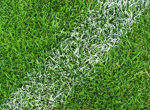 Fußball Rasen Nahaufnahme - Soccer Grass Close-up