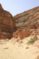 Coloured Canyon