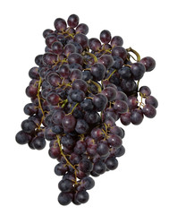 blue grape cluster on a white background