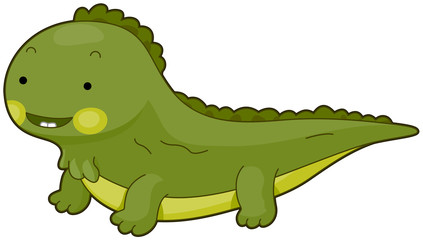 Iguana