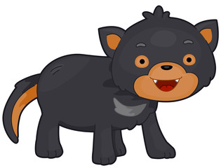 Tasmanian Devil