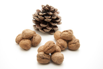 Walnüsse mit Kiefernzapfen