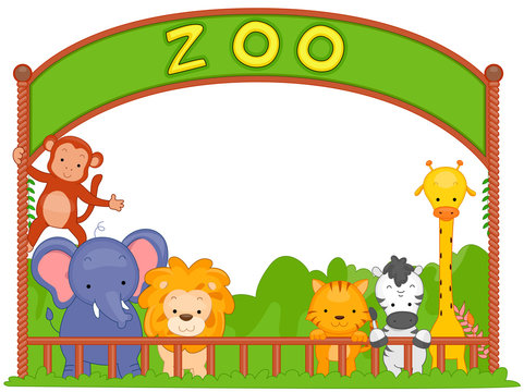 Zoo Animals