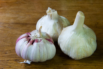 Red Garlic