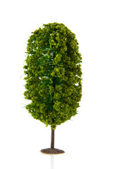 Single tree