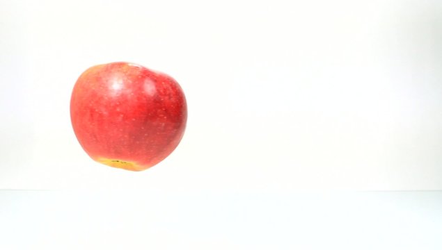 Apfelkreis