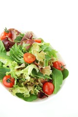 フレッシュグリーンサラダ