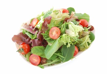 フレッシュグリーンサラダ