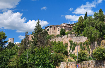 Fototapeta premium View of Spello. Umbria.